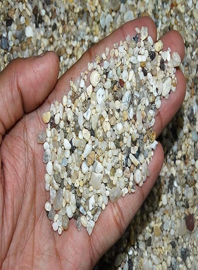 Maalavya for Aquarium Decoration 1Kg Pearl Sand Substrate Sand |Soil Stone Gravel Pebbles - Image 2